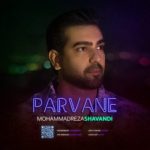 محمدرضا شوندی – پروانه